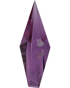 ANA In-House Excellence Awards