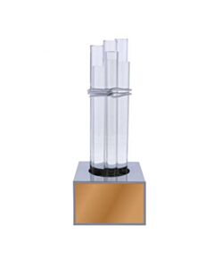 Category Winner Bronze