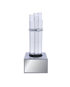 Category Winner