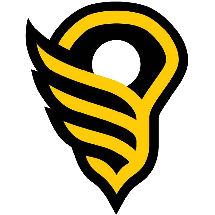 Women's Lacrosse League WLL logo