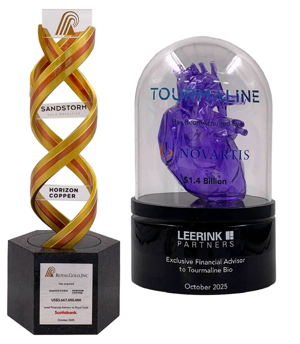custom deal toys by Society Awards Finance Group that resemble a DNA strand and an anatomically correct heart 