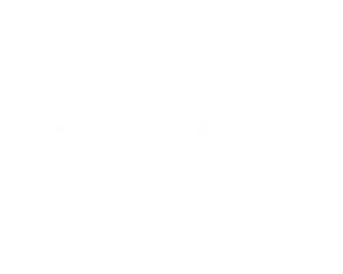 Citadel