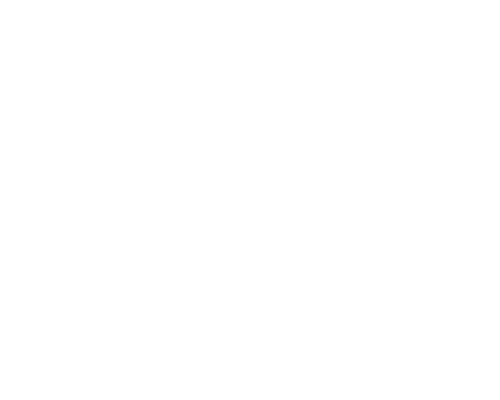 Delta Air Lines