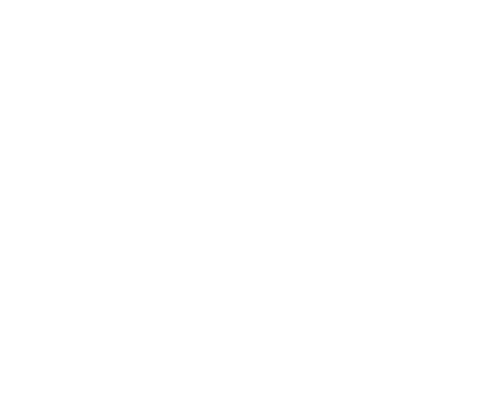 Directors Guild of America