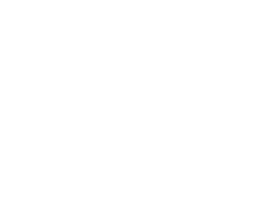 Duolingo