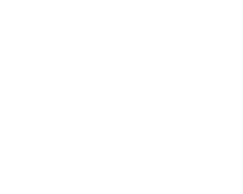 Fidelity