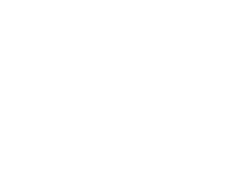 Florida Film Festival