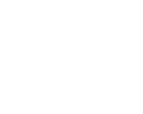 Jack Link's