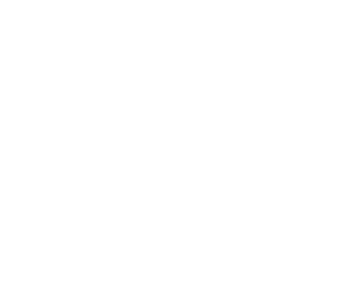 John F. Kennedy Foundation