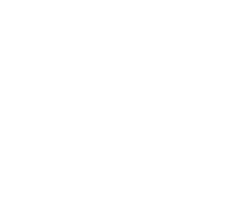 NetJets
