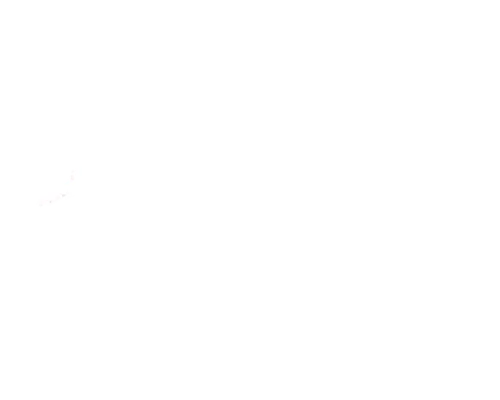 New Community Bible Fellowship