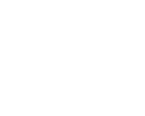 Pioneer