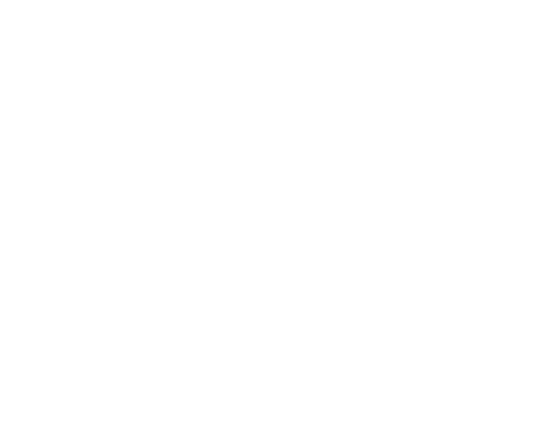 Special Olympics