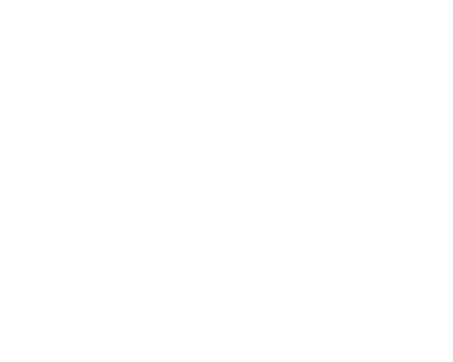 The New School