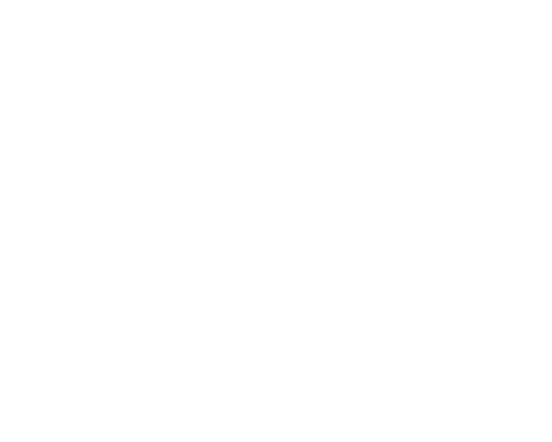 Sundance Institute