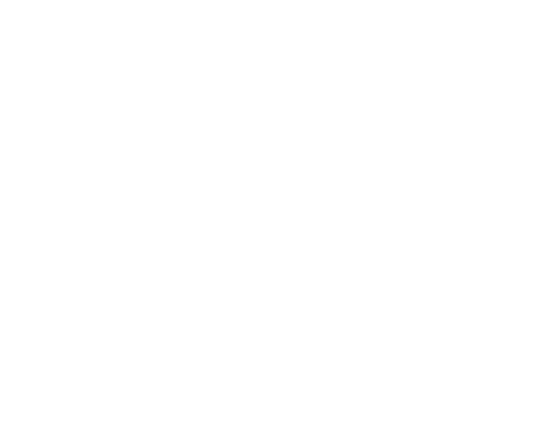 The Voice