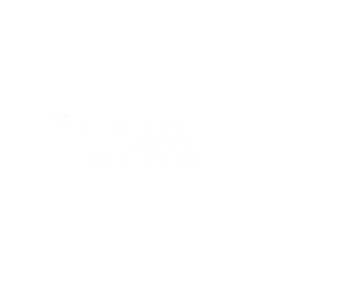 Themed Entertainment Association