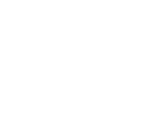 Toys R Us