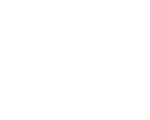 US Air Force