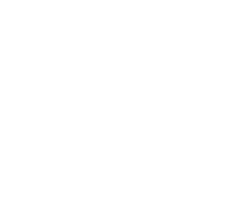 Village Voice