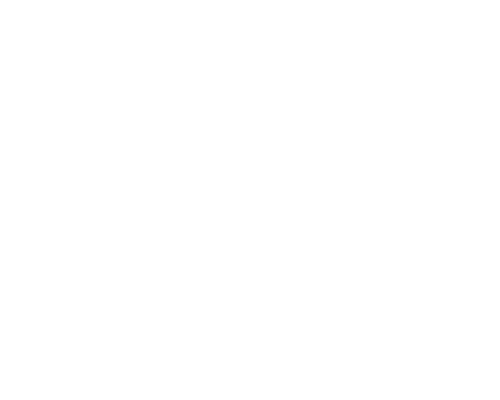 WNBA