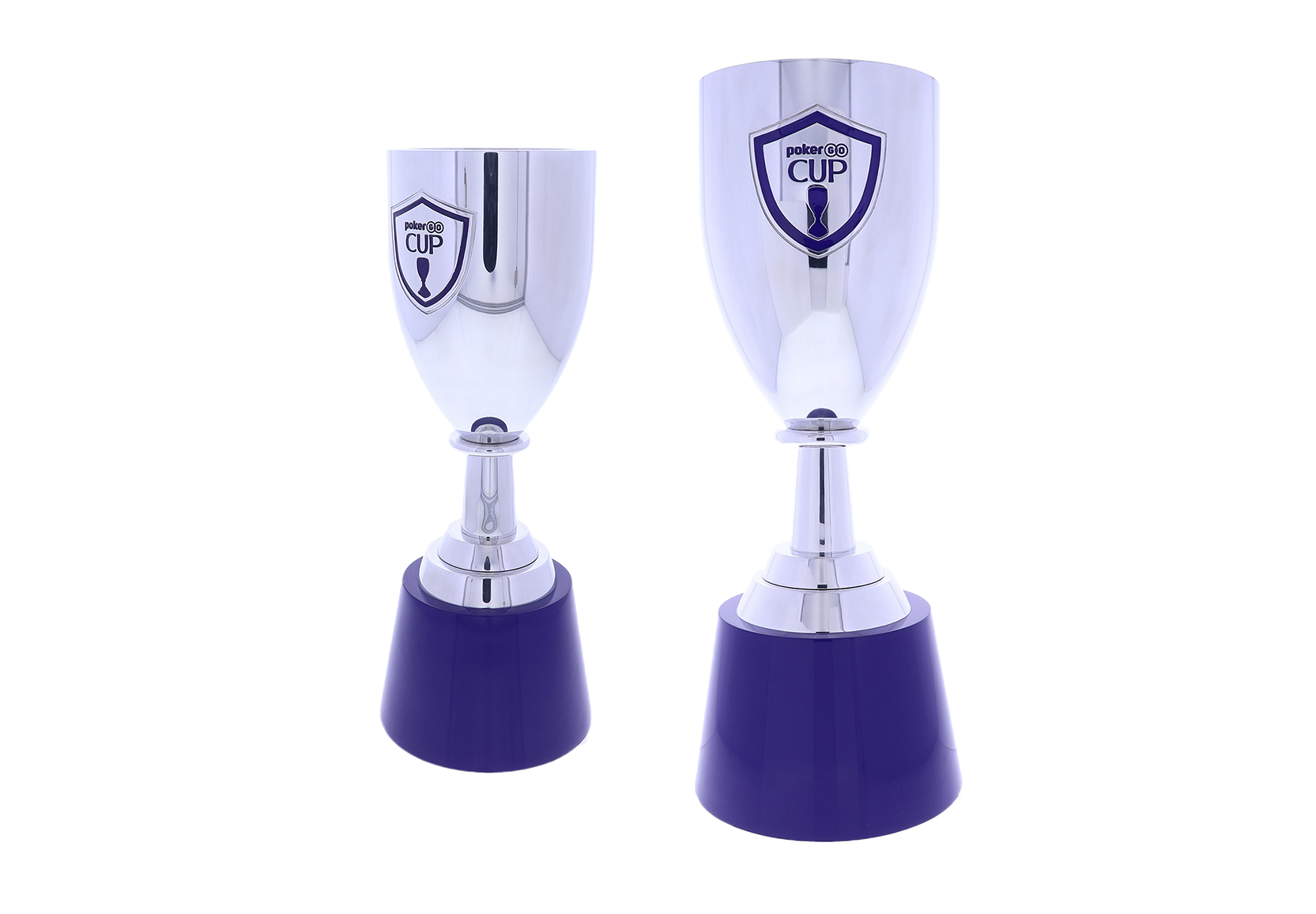 Custom silver chalice with logo | Society Awards