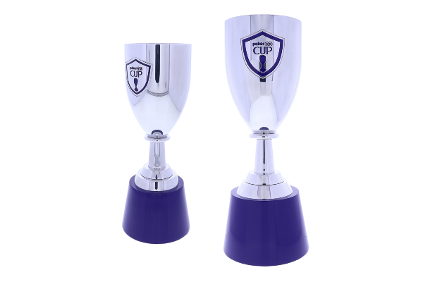 Custom silver chalice with logo