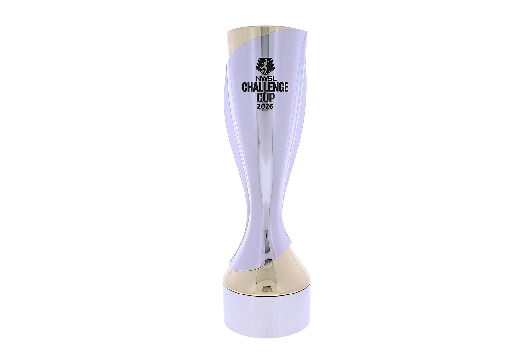 Sleek gold cup with an abstract silver overlay | Society Awards