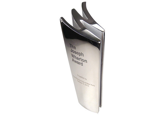 Stainless steel cast 'W' shaped custom education award