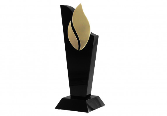 Custom crystal award in black with gold logo detail.