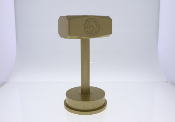 Custom Corporate Award