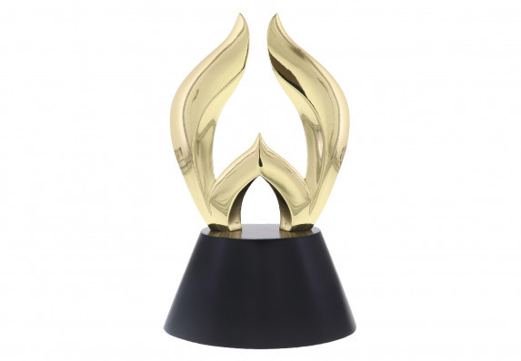 Society Awards designed custom flame shape W for prestigious website awards