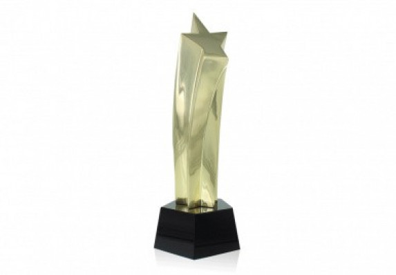 Custom metal award with fine detailing in the shape of an extruded star.