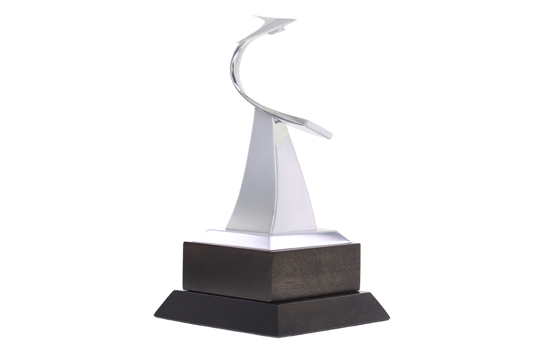 Custom Aerospace Award | Society Awards