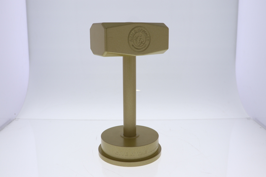 Custom Corporate Award | Society Awards