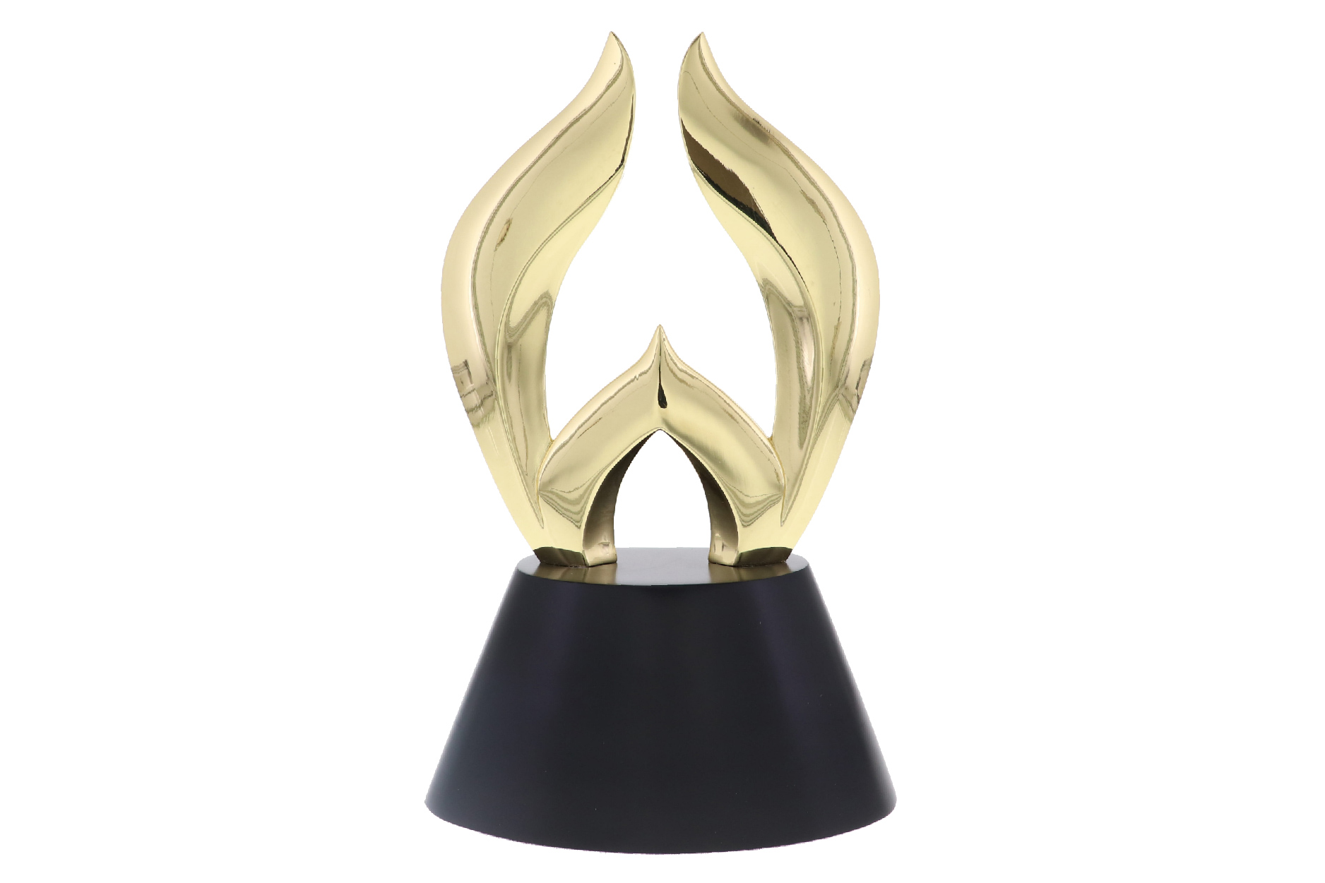 Custom award in flame shaped W