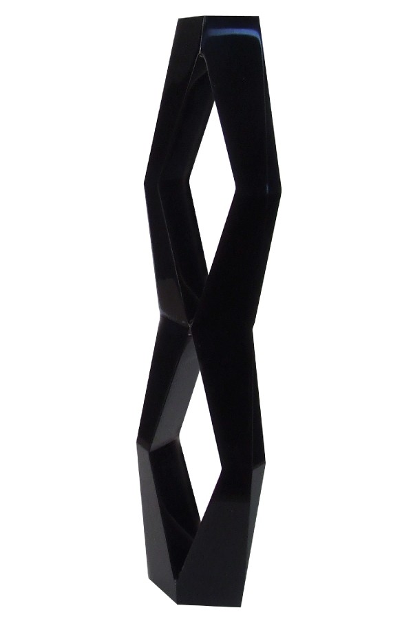 Black infinity shaped lucite acrylic award