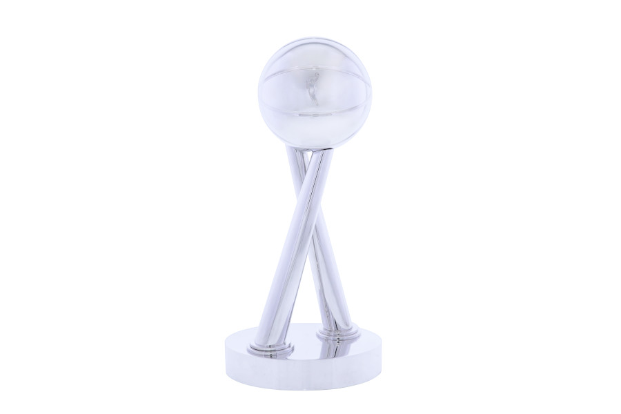 High Quality Custom Unique Sports Awards and Trophies in shiny silver metal | Society Awards