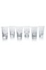 Everyday Baccarat Grande, Set of 6