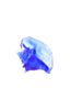 Blue Conch Shell