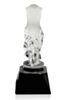 Crystal Dress Award