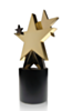SA Star 1 Award