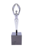 Poly Angel All Silver Award