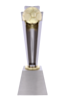 Sports 3 - Soccer Award
