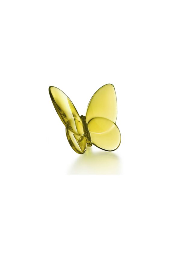 Papillon Lucky Butterfly