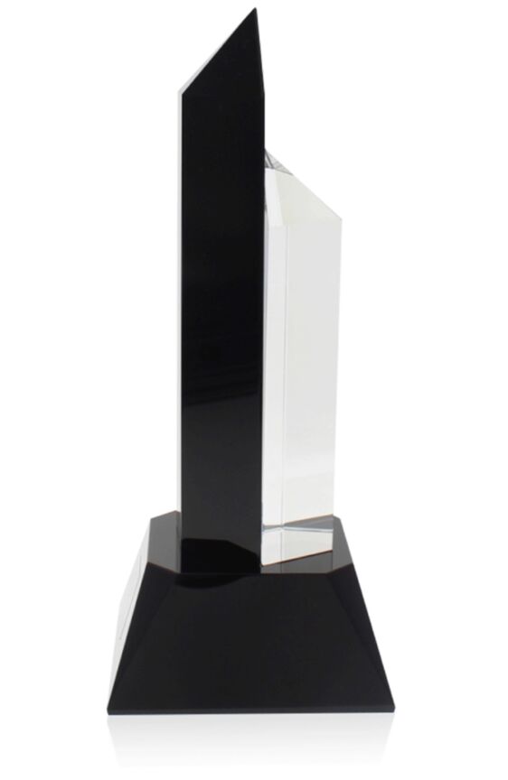 Hexagon Black Clear Award