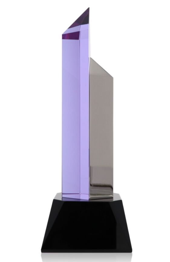 Hexagon Purple Silver Award
