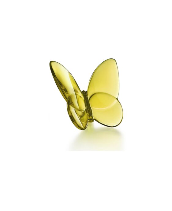 Papillon Lucky Butterfly