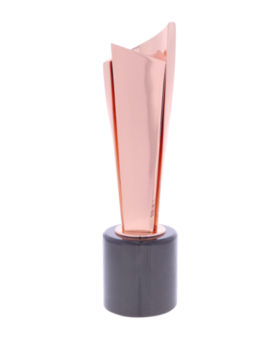 Art Pillar Bronze Award