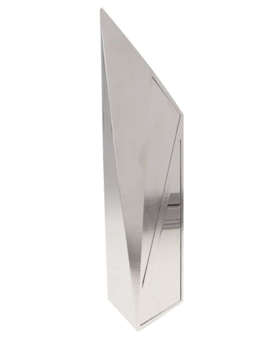 Modern Tower Silver Award